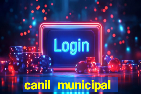 canil municipal porto alegre